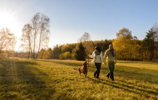 Matching Your Investments With Your Financial Plan